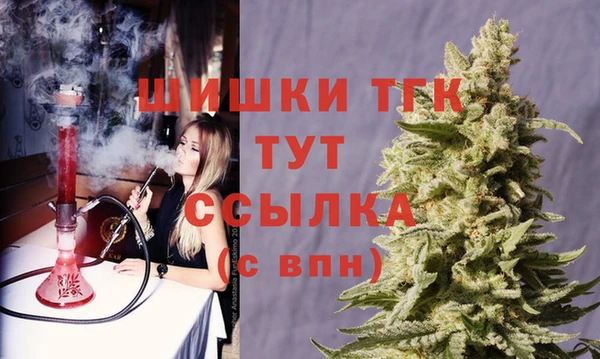 СК Аркадак