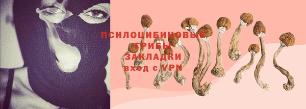 молекула духа Армянск