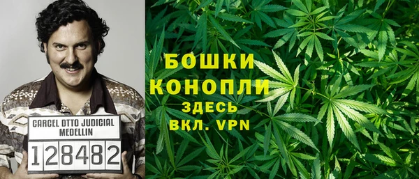 СК Аркадак