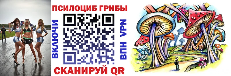 где можно купить   Хадыженск  Галлюциногенные грибы Magic Shrooms 